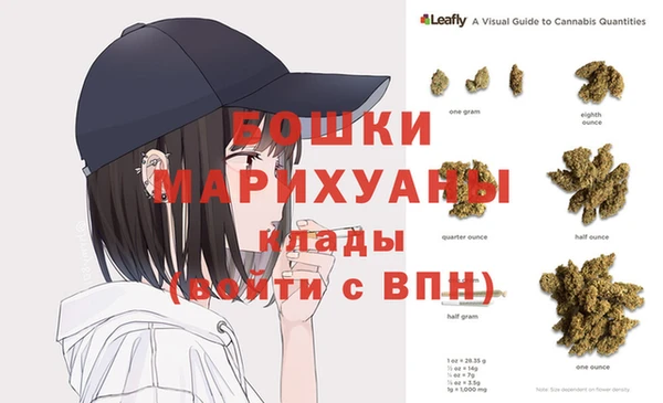 индика Гусь-Хрустальный