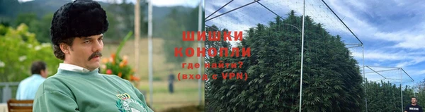 apvp Дмитровск