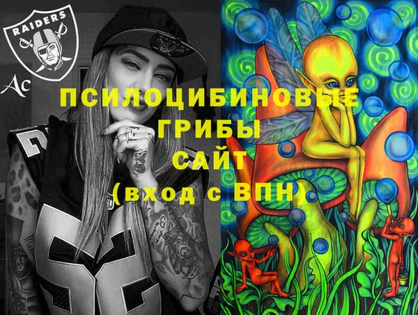 apvp Дмитровск