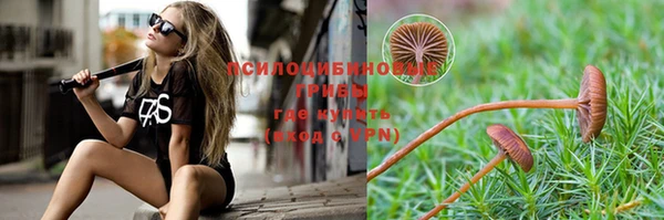 каннабис Дмитров